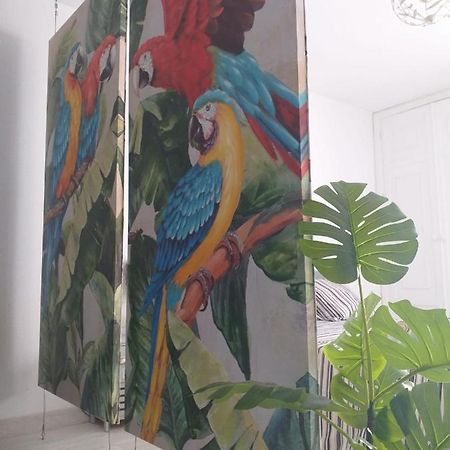 Tropical Loft Apartment Corralejo Exterior photo